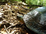 2012_06_01_005.JPG