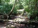 2012_06_02_030.JPG