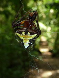 2012_06_02_035.JPG