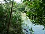2012_06_02_047.JPG