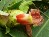 2012_06_04_014.JPG