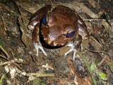 2012_06_04_032.JPG