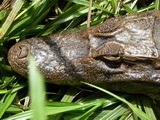 2012_06_05_030.JPG