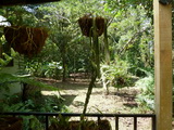 2012_06_05_039.JPG