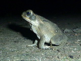 2012_06_05_043.JPG
