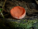 2012_06_06_017.JPG