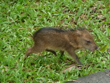 2012_06_08_013.JPG