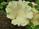 2012_06_09_038.JPG