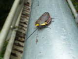 2012_06_09_071.JPG