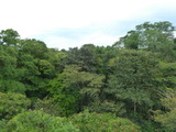 2012_06_09_076.JPG