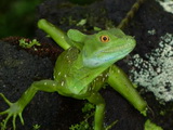 2012_06_11_020.JPG