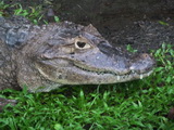 2012_06_11_028.JPG