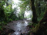 2012_06_12_009.JPG