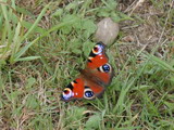 2001_07_24_004.JPG