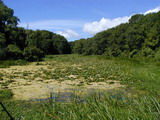 2001_07_26_022.JPG