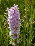 2002_06_25_001.JPG