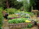 2003_05_17_001.JPG