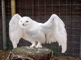 2003_05_24_013.JPG