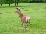 2003_05_24_024.JPG