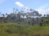 2001_05_25_018.JPG