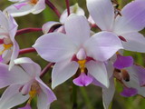 2001_05_26_010.JPG