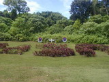 2001_05_29_009.JPG