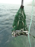 2012_07_04_038.JPG