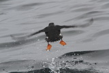 2012_07_04_046.JPG