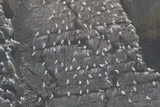 2012_07_04_056.JPG
