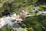 2012_07_04_071.JPG