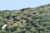 2012_07_04_099.JPG