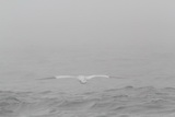 2012_07_04_132.JPG