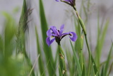 2012_07_05_010.JPG