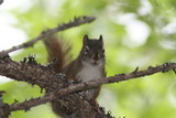 2012_07_05_026.JPG