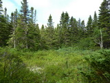2012_07_05_028.JPG
