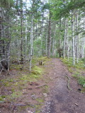 2012_07_05_030.JPG