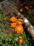 2012_07_05_057.JPG