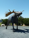 2012_07_05_070.JPG