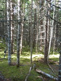 2012_07_06_012.JPG
