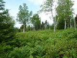 2012_07_06_042.JPG