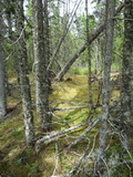 2012_07_06_090.JPG