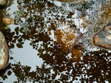 2012_07_06_095.JPG