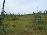 2012_07_06_097.JPG