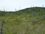 2012_07_06_115.JPG