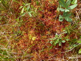 2012_07_06_120.JPG