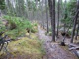 2012_07_06_141.JPG