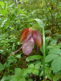 2012_07_06_163.JPG