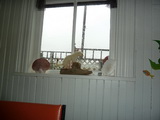 2012_07_06_169.JPG