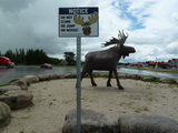 2012_07_07_002.JPG