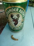 2012_07_07_018.JPG